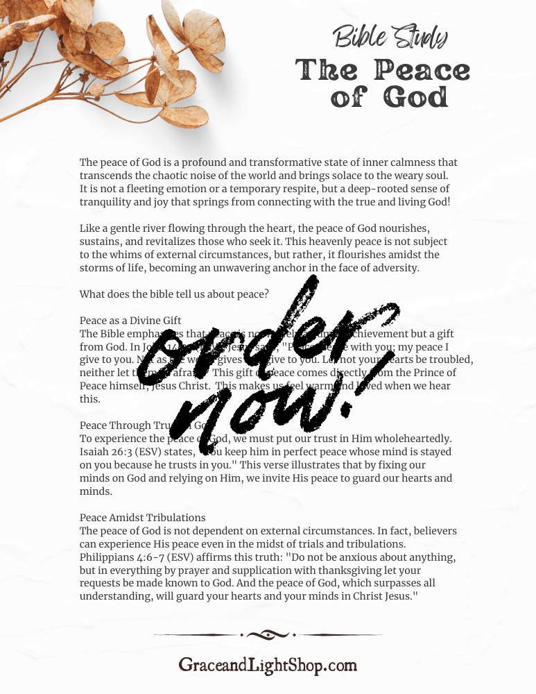 The Peace of God Bible Study + Reflection sample page