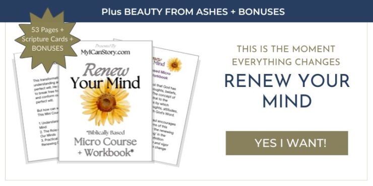 This Is the Moment That Changes Everything: 3 Steps to Renew Your Mind 3 Renew Your Mind sale banner