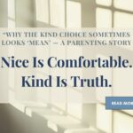 Nice is Comfortable. Kind is Truth. blog article